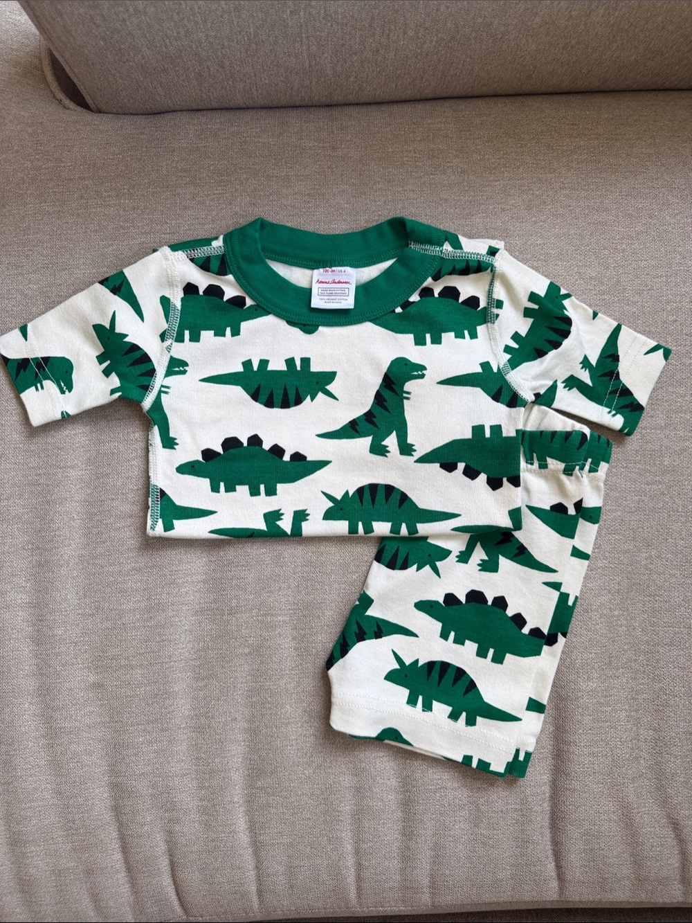 Hanna Andersson Green Dinosaur Print Pajama Set on Cream
